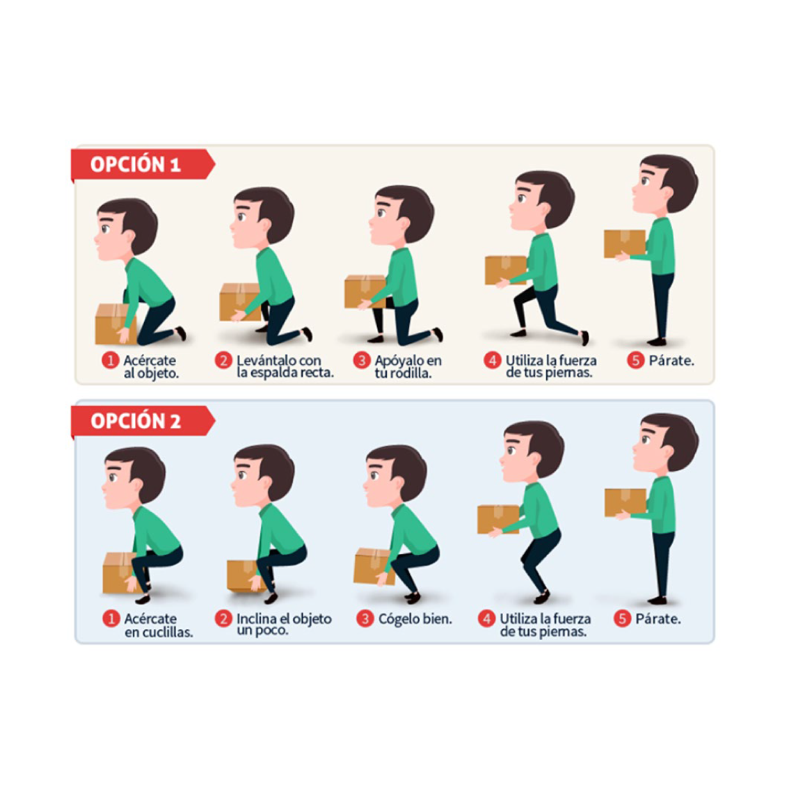 postural 12