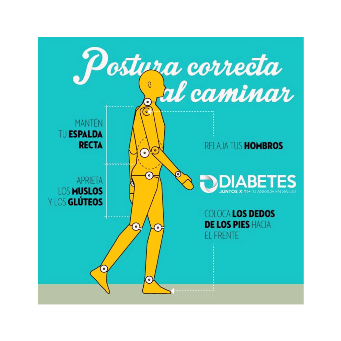 postural 13