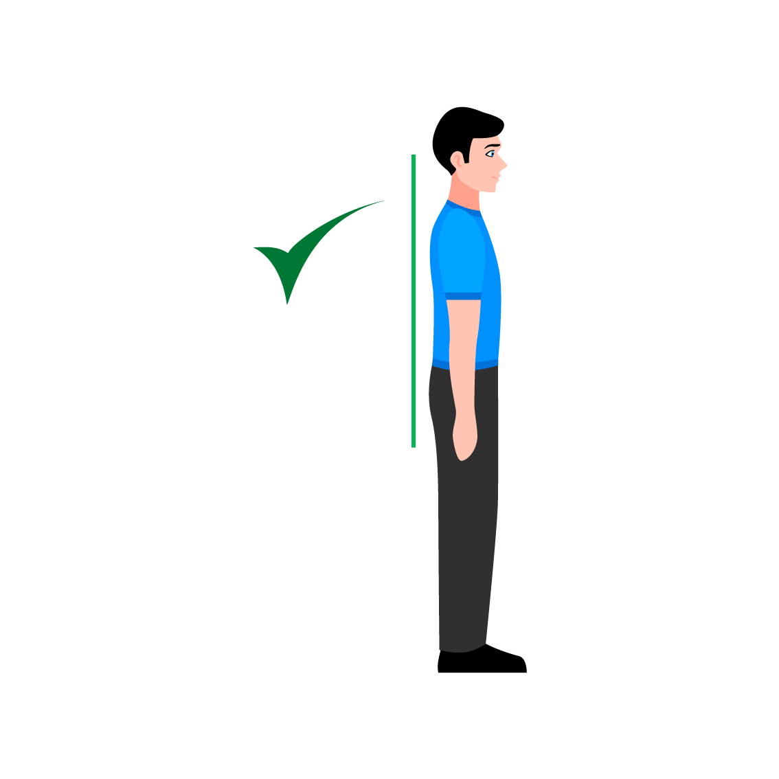postural 6