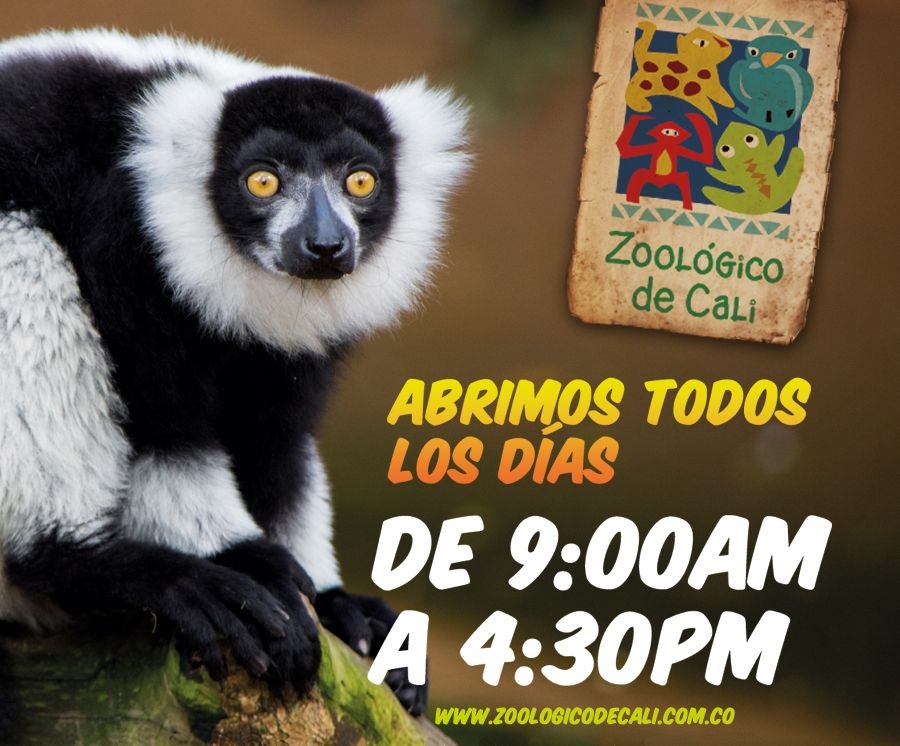 zoologico cali cps bn1