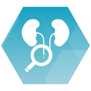Urología( Exámen de próstata para mayores de 40 años) Image